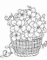 Riscos Baskets Bordados Fleurs раскраски Pirograbado Coloriages Riscosgraciosos Pintar Bordadas цветочные sketch template