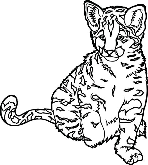 big cat coloring pages  getcoloringscom  printable colorings