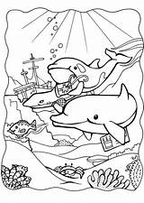 Kleurplaat Dolfijnen Colorear Delfines Delfini Tres Malvorlage Delphinen Dauphins Shipwreck Delfiny Colouring Kleurplaten Kolorowanki Dolphins Printen Tekeningen Kolorowanka Ausmalbild Schoolplaten sketch template