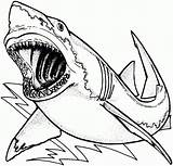 Coloring Pages Sharknado Whale Shark Getcolorings Unique sketch template