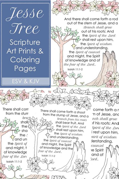 jesse tree scripture printable poster coloring page bible family