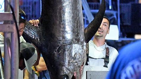 white marlin open catch breaks md swordfish record    weeks