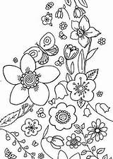 Ausmalbilder Senioren Blumen Malvorlagen sketch template