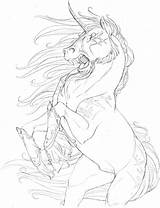 Unicorn Evil Sketch Drawing Horse Hibbary Deviantart Getdrawings sketch template