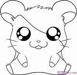 Cartoon Hamster Drawing Characters Network Coloring Cute Pages Choose Board sketch template