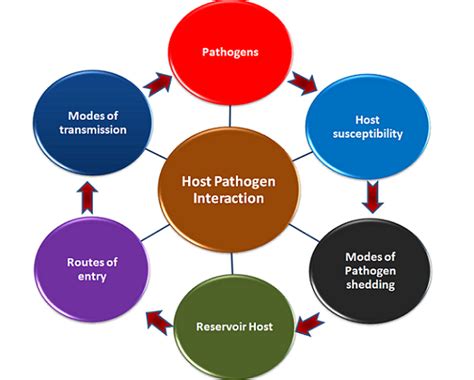 Host Pathogen Interaction Lab