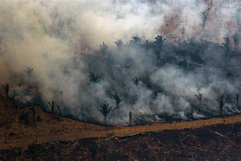 amazon fires impact on rainforest in and around brazil — in photos