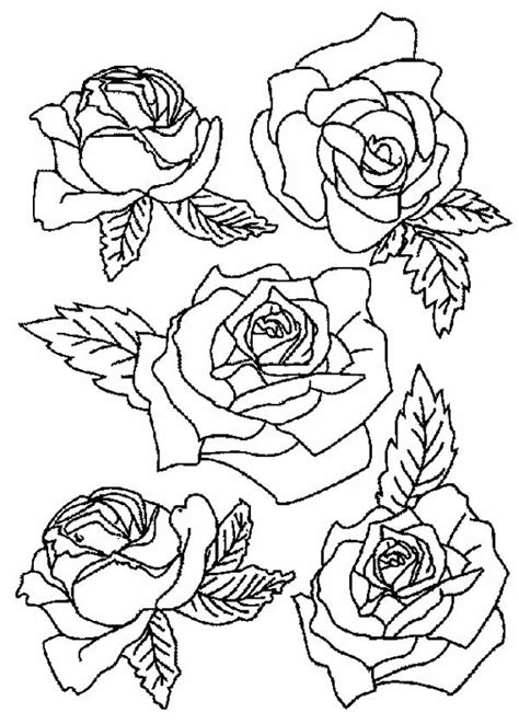 picture  roses  flower bouquet coloring page color luna