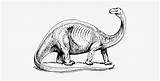 Brontosaurus Apatosaurus Dinosaurs Book Coloring Great Nicepng sketch template