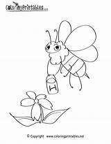 Spring Bee Coloring Printable Pages Seasonal Color Thank Please Coloringprintables sketch template