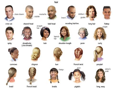 hair noun definition pictures pronunciation and usage notes