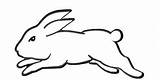 Rabbitohs Sydney South Nrl sketch template