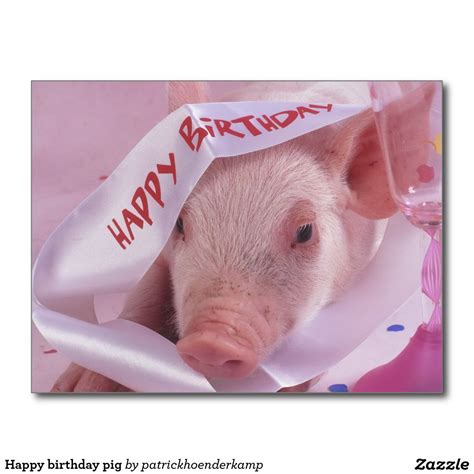 happy birthday pig postcard happy birthday pig pig birthday happy