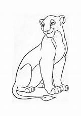 Lion Lioness King Coloring Pages Drawing Getdrawings sketch template