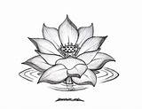 Lotus Flower Drawing Realistic Drawings Tattoos Getdrawings sketch template