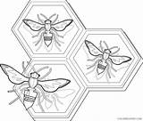 Honeycomb sketch template