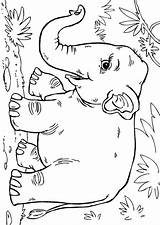 Coloring Elephant Asian Pages Printable Colouring Drawing Edupics Animals Sheets Jungle Animal Visit Books Choose Board sketch template