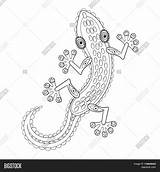 Zentangle Lizard sketch template