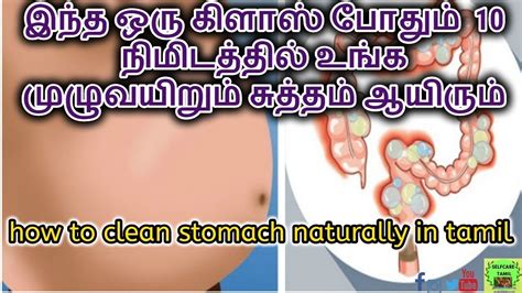 clean stomach naturally  tamil clean stomach