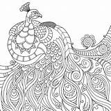 Mindfulness Mindful Coloriages Coloriage Paon Coloring4free Bestcoloringpagesforkids Meilleurs Pavo Colourin Collegesportsmatchups Animaux sketch template