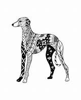 Levriero Greyhound Zentangle Cane Stiliserad Illustrazione Stilizzato Perro Estilizado Galgo Vektorillustration Mandalas Stilisiert Poljak sketch template