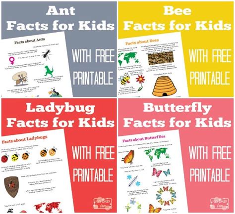 fun facts  kids  learning printables itsy bitsy fun
