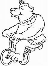 Circus Coloring Pages Printable Bicycle Riding Bear sketch template