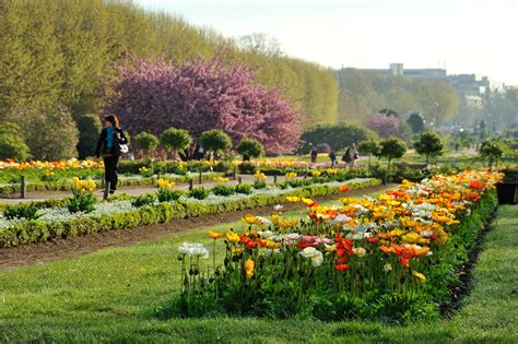 jardin des plantes attractions   arrondissement paris