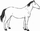 Horse Coloring Pages Kids Funny sketch template
