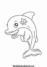 Dolphin Coloring Pages Drawing Realistic Cute Dolphins Adults Easy Step Color Line Printable Beginners Getdrawings Getcolorings Bottlenose Decoration Amazing Print sketch template