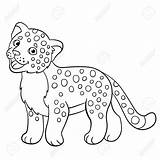 Jaguar Drawing Cartoon Getdrawings Baby Cute Coloring Pages sketch template