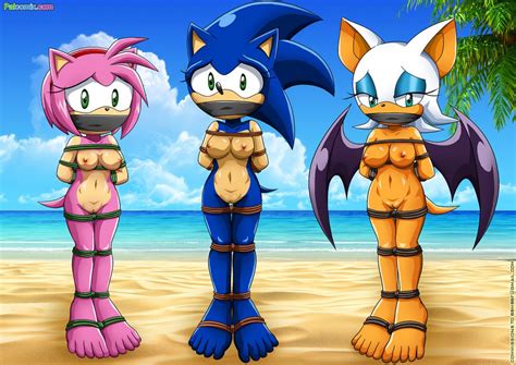 1346639 Amy Rose Palcomix Rouge The Bat Rule 63 Sonic Team