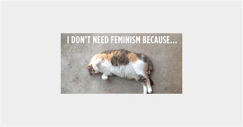 Confused Cats Against Feminism Quand Les Chats Ridiculisent Les Anti