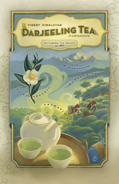 superbe poster vintage darjeeling par scott plumbe au paradis du