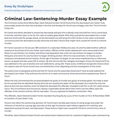 criminal law sentencing murder essay  studyhippocom