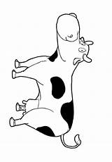 Vaca Mucca Kuh Koe Dibujo Malvorlage Vache Schulbilder Educima Educol Stampare Educolor sketch template