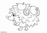 Coloring Printable Hedgehogs Kids Hedgehog Activity Create Template Worksheets Pages Autumn Own sketch template