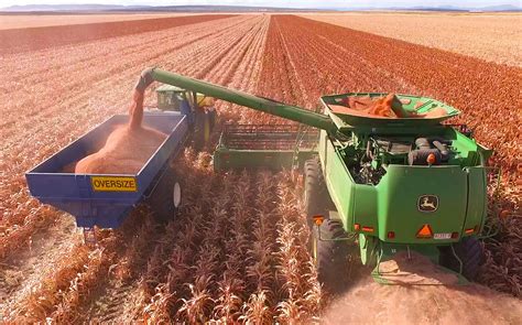 pioneer offers    bag  seed australasian farmers