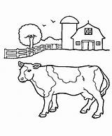 Coloring Cow Barn Pages Front Milk Cows Cattle Color Ox Farmers Musk Print Getcolorings Kids Netart sketch template