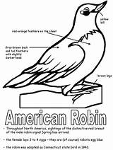 State Robin Coloring Pages Michigan Bird American Birds Printables Symbols Printable Connecticut Kids Wisconsin Flag Ws Kidzone States Colouring Sheets sketch template