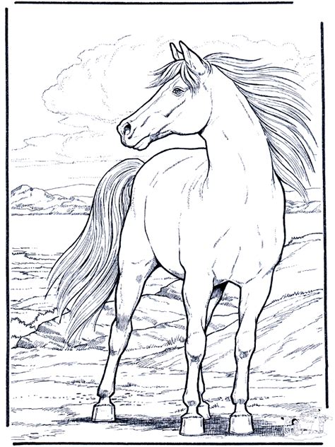 horse coloring  animal coloring pages sheets horse