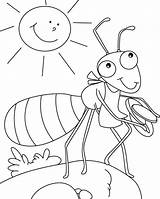 Coloring Pages Farm Ant Kids sketch template
