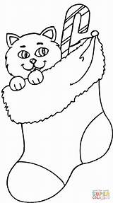 Stocking Coloring Christmas Pages Cat Printable Clipart Stockings Kitten Drawing Paper sketch template