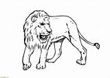 Singa Mewarnai Marimewarnai Cheetah Paud sketch template
