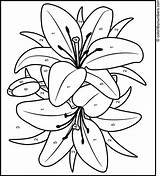 Painting Acrylic Anderson Angela Glass Coloring Pages Lily Flower Traceable Patterns Traceables Designs Paint Printable Easy Templates Sherpa Stained Landscape sketch template