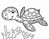 Coloring Turtles Pages Kids Print Funny Children Animals sketch template