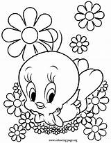Coloring Pages Flowers Tweety Fun Beautiful Color Flower Kids Bird Colouring Cool Amazing Print Interesting Surrounded Printable Drawings Popular Clipart sketch template
