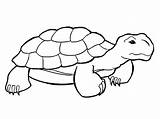Tortoise Clipart Drawing Turtle Shell Template Clip Coloring Drawings Line Turtles Cliparts Outline Draw Desert Library Vyoma Designs Rock Stone sketch template
