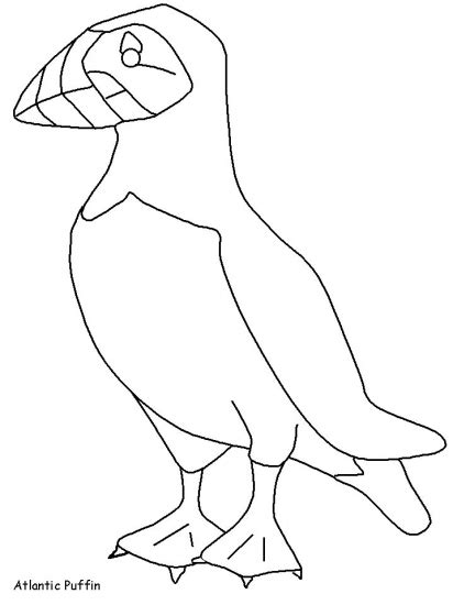 birds  coloring pages