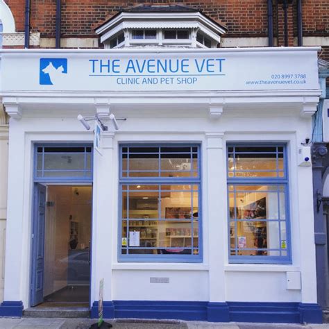 avenue veterinary clinic pet stores   avenue ealing